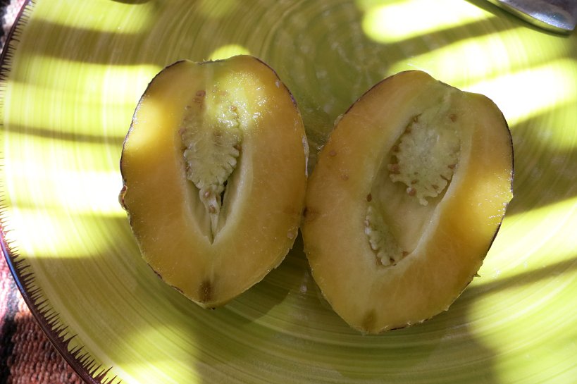 Food of the desert Pepino inside