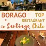 Pinterest Borago Chile by Authentic Food Quest