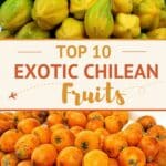 Pinterest Chile Fruit by Authentic Food Quest