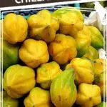 Pinterest Chilean Fruit by Authentic Food Quest