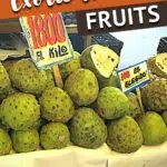 Pinterest Fruits From Chile by Authentic Food Quest