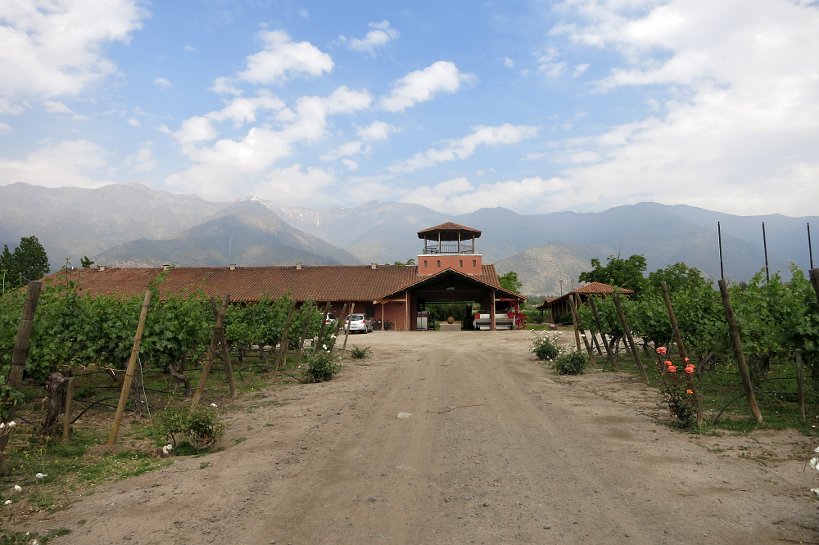 Chile Wines Aquitania
