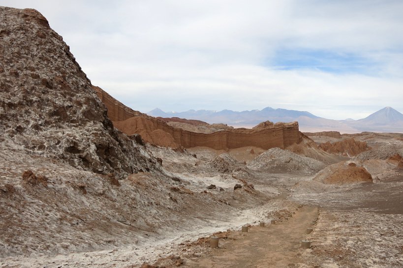 Food of the desert Valle de la Luna