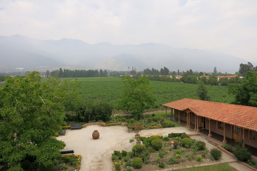 Chile Red Wines