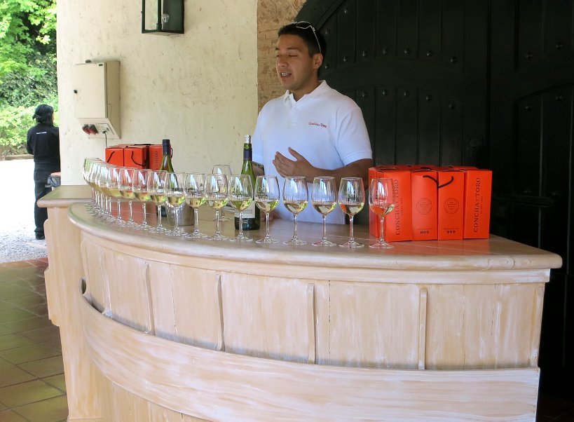 Chile Red Wines