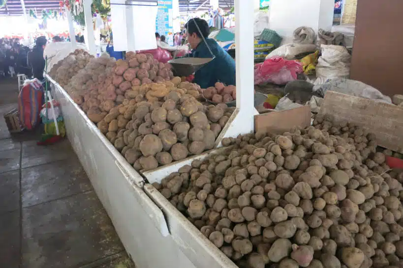 Papas Andinas Cusco Market by Authentic Food Quest
