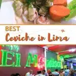 Best Ceviche in Lima by Authentic Food Quest