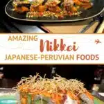 Nikkei Cuisine by Authentic Food Quest