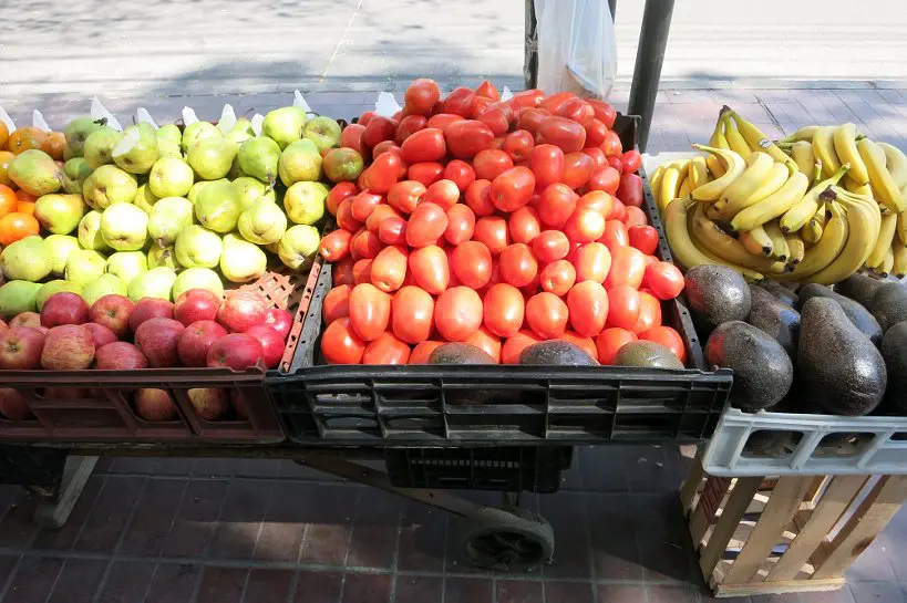 Authentic Food Tomatoes Mendoza Argentina AFQ