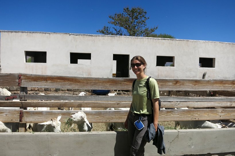 Goat farm barn and Claire at Goats Cabras de Cafayate Authentic Food Quest
