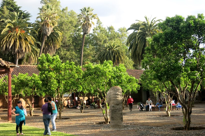 Local Festival Talca Authentic Food Quest