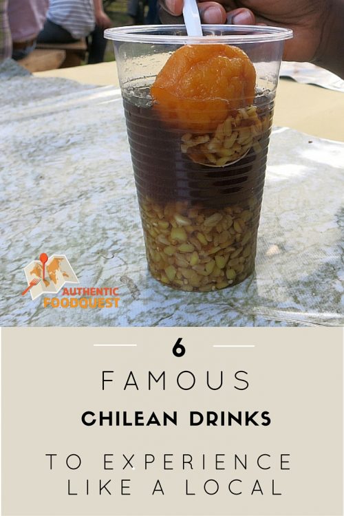 Authentic Food Quest - 6 Famous Chilean Drinks To Experience Like a Local Authentic Food Quest - 6 Famous Chilean Drinks To Experience Like a Local