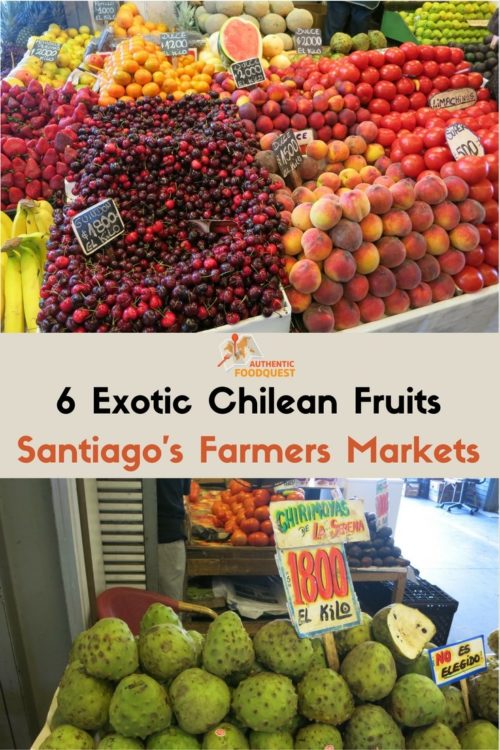 Pinterest image of 6 exotic chilean fruits at Santiago's Farmers Markets for Authentic Food Quest