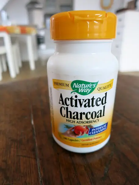 Activated Charcoal Packing Culinary Travel by Authentic Food Quest