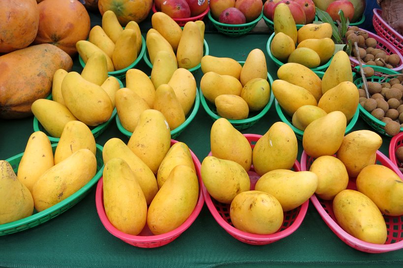 West Palm Beach farmers market local food stores authentic food quest