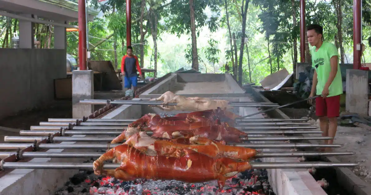 Rico’s Lechon Review: Is It The Best Lechon in Cebu?