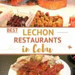 Best Lechon in Cebu: Top 12 Restaurants to Taste “ The Best Pig Ever” (According to Anthony Bourdain) 1