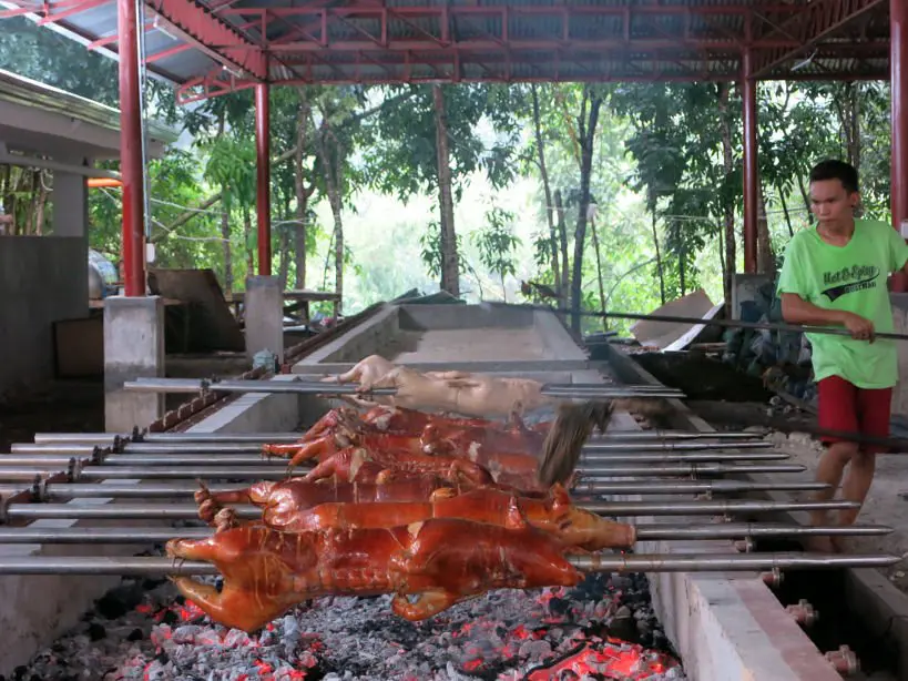 roasted pigs Rico's lechon cebu by Authentic Food Quest
