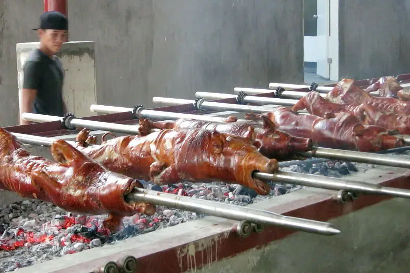 roasted pigs at rico's lechon authentic food quest