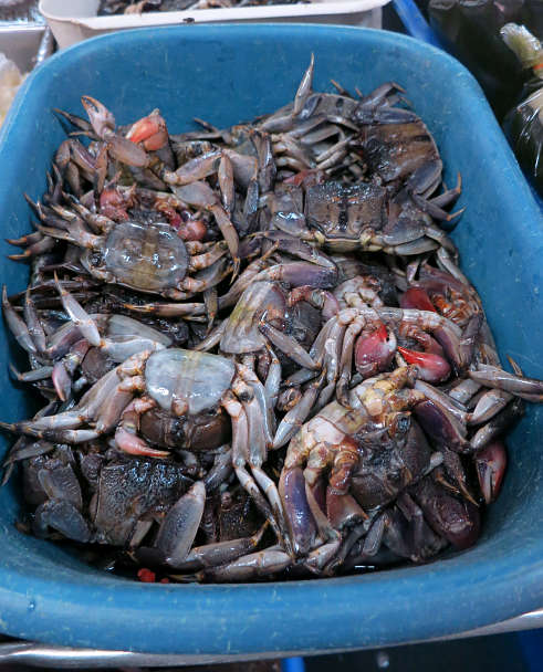 Bang Rak Market Crab bucket Bangkok Markets Authentic food quest