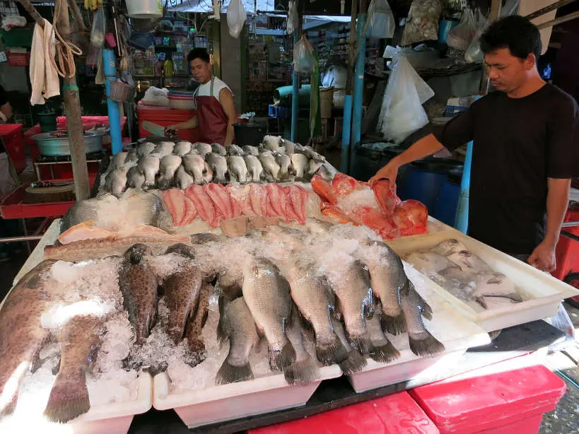 Khlong Toei Fish Stand Bangkok Markets Authentic Food Quest