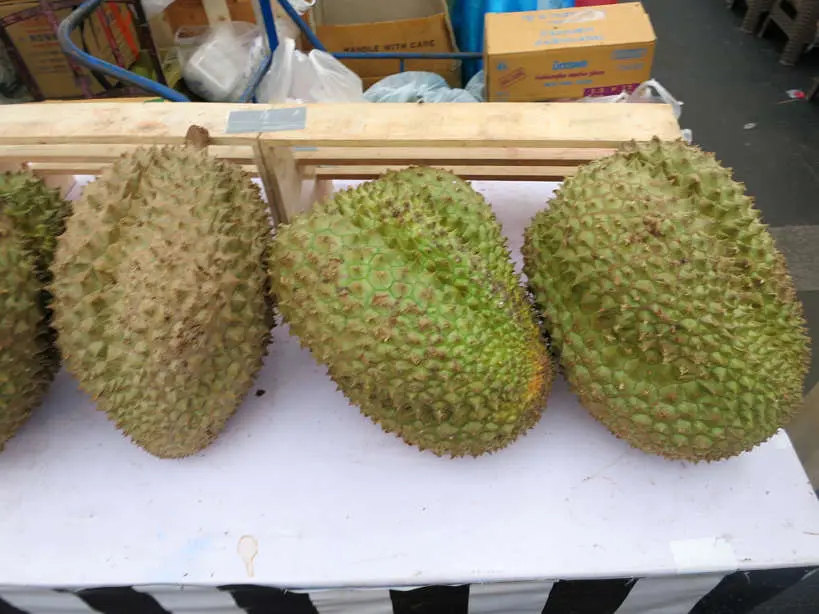 Durian Fruit Popular Thai Fruit Authentic Food Quest
