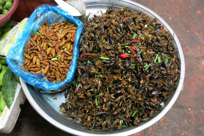 Bugs Cambodian Street Food Authentic Food Quest