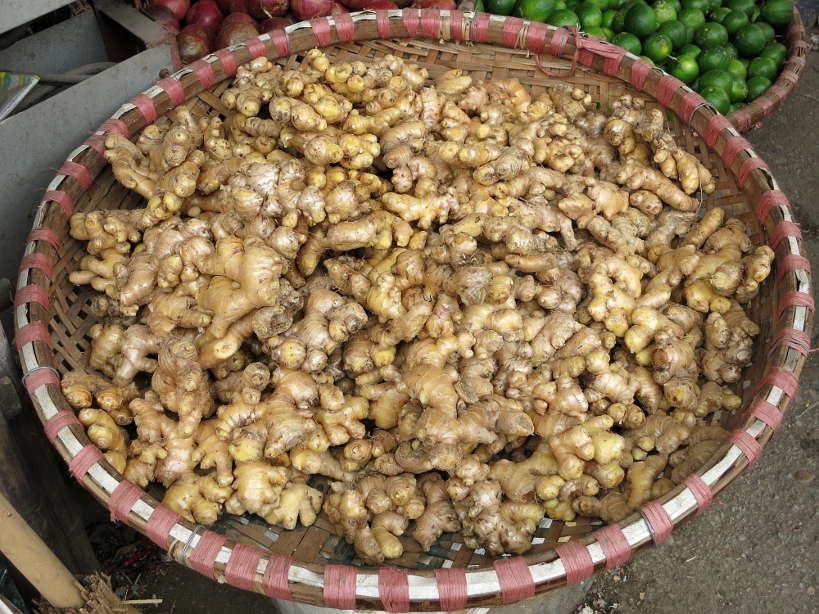 Ginger_eatlocalstreetsafely_AuthenticFoodQuest