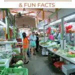 Pinterest Singapore Food Facts by Authentic Food Quest