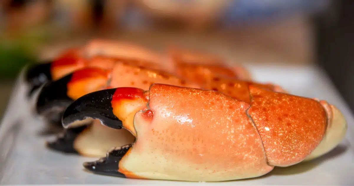 Floribbean Cuisine: 10 Best Floribbean Seafood, Meat and Dessert You’ll Crave to Try