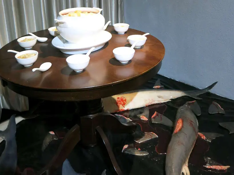 Shark fins Food museum Penang Authentic Food Quest