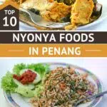 Pinterest Nyonya Food Penang by Authentic Food Quest