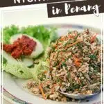Pinterest Penang Nyonya Food by Authentic Food Quest