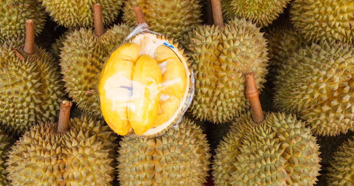 Durian: The King of Fruits – Absolutely Delicious, But The Smell