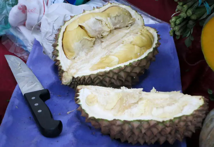 Durian Opened durian fruit taste by Authnentic Food Quest