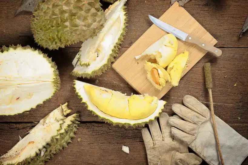 Durian Smell Durian Fruit Taste by Authentic Food Quest