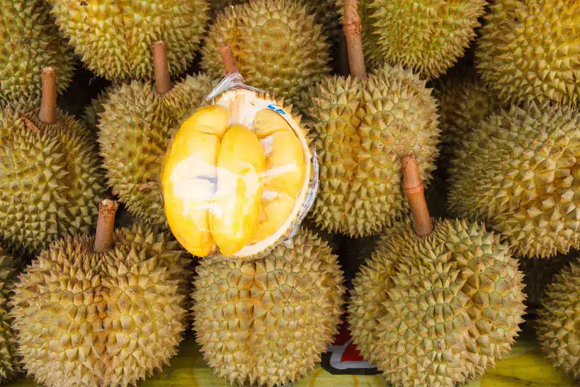 Durian Storing Durian Flavor by Authentic Food Quest