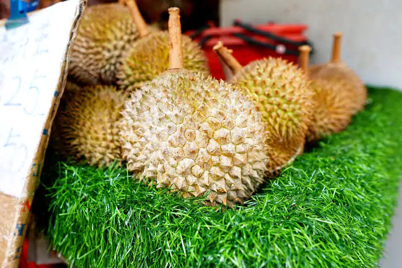 Durian Tekka What Does Durian Taste Like by Authentic Food Quest