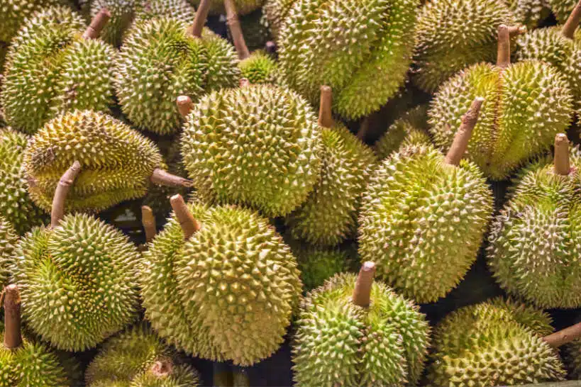 Durian What Does Durian Taste Like by Authentic Food Quest