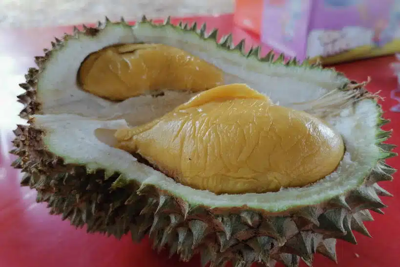 Musang King What Does Durian Taste Like by Authentic Food Quest