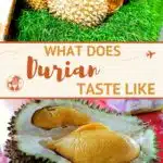 Pinterest Durian Flavor by Authentic Food Quest