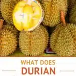 Pinterest Durian Fruit Taste by Authentic Food Quest