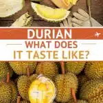 Pinterest Durian Taste by Authentic Food Quest