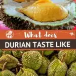 Pinterest What Does Durian Taste Like by Authentic Food Quest