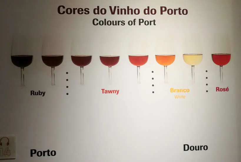 Colors Port Wine at Port Institute Porto Authentic Food Quest