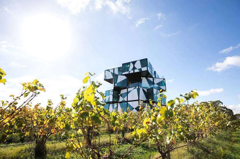 DarenbergWinery_AustraliaWineRegions_AuthenticFoodQuest