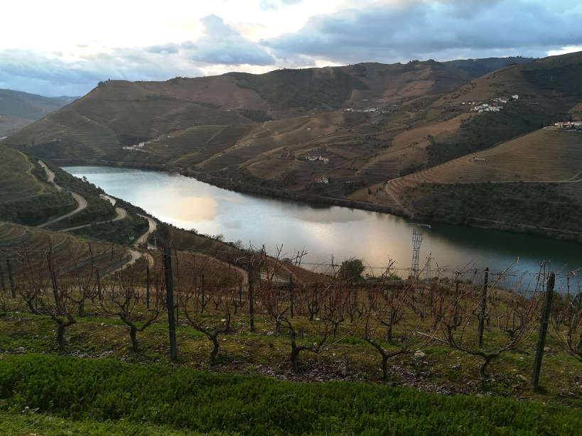 Douro Valley near Porto Authentic Food Quest