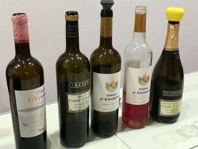 Wine Tasting Ervideira for Alentejo Food in Evora by Authentic Food Quest