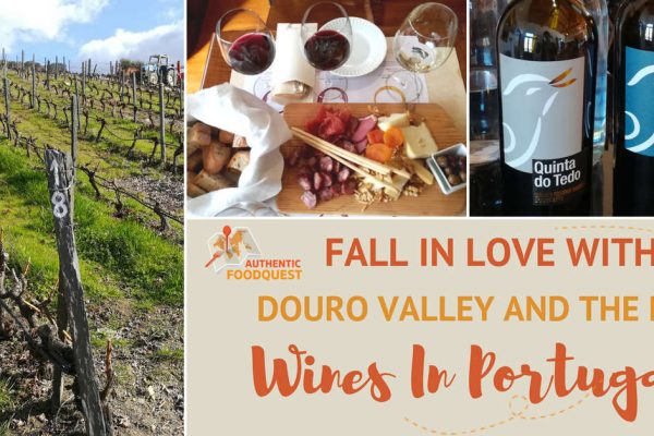 Fall in Love with Douro Valley and the Best Wines in Portugal