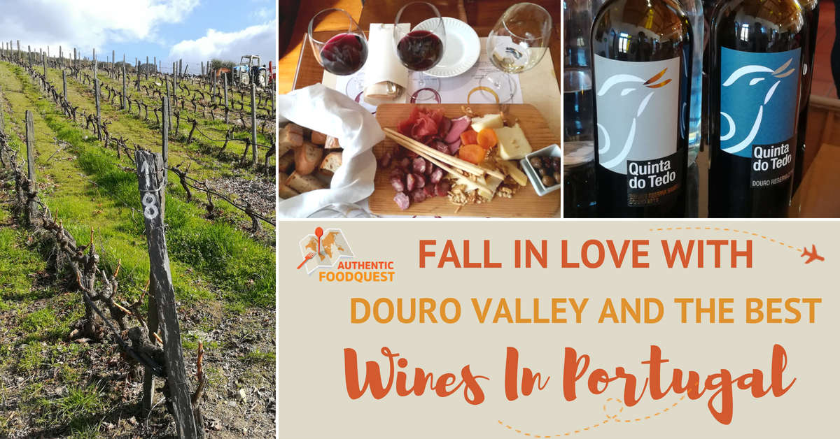 Douro Valley Wines Portugal Authentic Food Quest